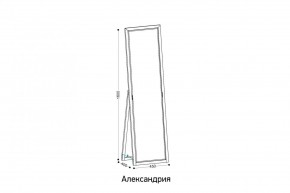 АЛЕКСАНДРИЯ-9.1 Зеркало напольное в Дегтярске - degtyarsk.ok-mebel.com | фото 2