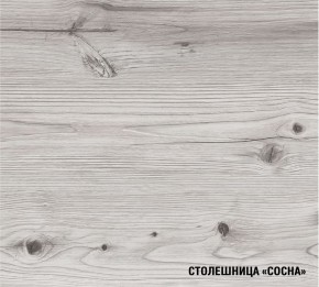 АСАЯ Кухонный гарнитур Экстра 2 (3000 мм) ПМ в Дегтярске - degtyarsk.ok-mebel.com | фото 8