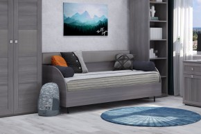 Диван-кровать 900 Парма Нео в Дегтярске - degtyarsk.ok-mebel.com | фото 4