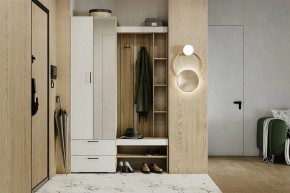 Гарнитур для прихожей Торонто в Дегтярске - degtyarsk.ok-mebel.com | фото 5