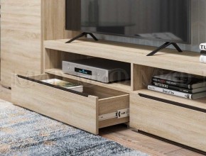 ЭКОЛЬ Гостиная Вариант №3 МДФ (Дуб сонома) в Дегтярске - degtyarsk.ok-mebel.com | фото 2