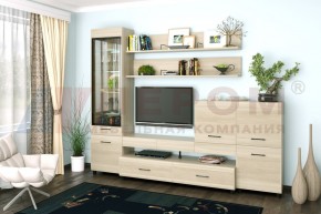 Гостиная Камелия Композиция 5 (Ясень Асахи) в Дегтярске - degtyarsk.ok-mebel.com | фото