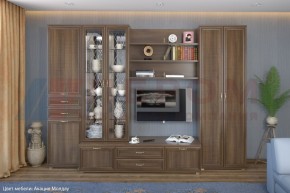 Гостиная Карина Композиция 14 (Акация Молдау) в Дегтярске - degtyarsk.ok-mebel.com | фото