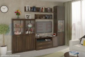 Гостиная Карина Композиция 22 (Акация Молдау) в Дегтярске - degtyarsk.ok-mebel.com | фото