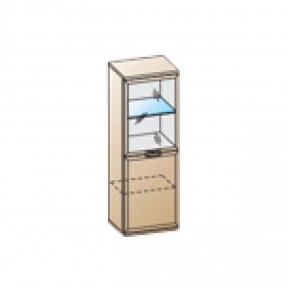 Гостиная Карина Композиция 22 (Акация Молдау) в Дегтярске - degtyarsk.ok-mebel.com | фото 3