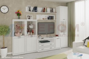 Гостиная Карина Композиция 22 (Снежный ясень) в Дегтярске - degtyarsk.ok-mebel.com | фото