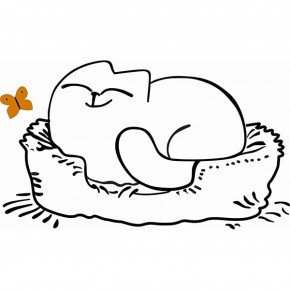 Кровать двухуровневая Кот № 900.1 ЛЕВАЯ (туя светлая/белый) в Дегтярске - degtyarsk.ok-mebel.com | фото 2