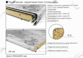 Кухонный фартук со столешницей (А-01) в едином стиле (3050 мм) в Дегтярске - degtyarsk.ok-mebel.com | фото 6