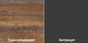 Кухонный гарнитур угловой Трансильвания 2600х1600 мм (Стол. 38 мм) в Дегтярске - degtyarsk.ok-mebel.com | фото 3