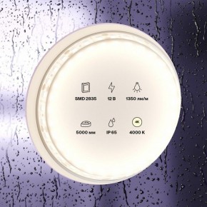 Лента светодиодная Maytoni Led strip 10118 в Дегтярске - degtyarsk.ok-mebel.com | фото 2