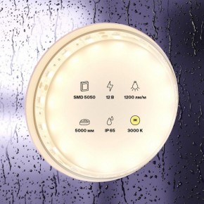 Лента светодиодная Maytoni Led strip 10131 в Дегтярске - degtyarsk.ok-mebel.com | фото 2