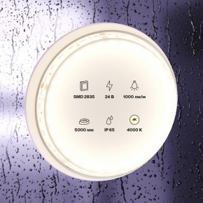 Лента светодиодная Maytoni Led strip 10146 в Дегтярске - degtyarsk.ok-mebel.com | фото 3
