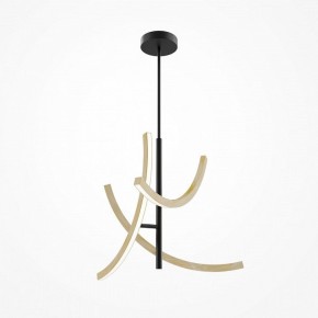 Люстра на штанге Maytoni Wabi MOD428PL-L27BK в Дегтярске - degtyarsk.ok-mebel.com | фото 5