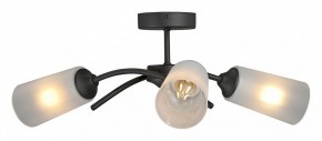 Люстра на штанге Vitaluce V2850 V2850-1/3PL в Дегтярске - degtyarsk.ok-mebel.com | фото