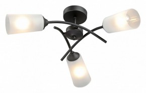 Люстра на штанге Vitaluce V2850 V2850-1/3PL в Дегтярске - degtyarsk.ok-mebel.com | фото 2
