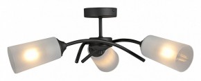 Люстра на штанге Vitaluce V2850 V2850-1/3PL в Дегтярске - degtyarsk.ok-mebel.com | фото 3