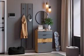 МЕБЕЛЬСОН К21 Прихожая  (графит) в Дегтярске - degtyarsk.ok-mebel.com | фото