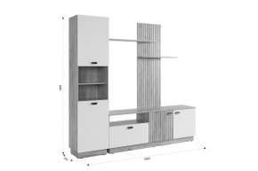 МОДИ Гостиная (модульная) белое дерево в Дегтярске - degtyarsk.ok-mebel.com | фото 2