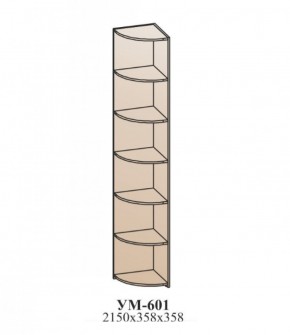 Молодежная ЭЙМИ (модульная) Гикори джексон в Дегтярске - degtyarsk.ok-mebel.com | фото 22