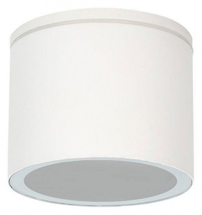 Накладной светильник Arte Lamp Piautos A1913PF-1WH в Дегтярске - degtyarsk.ok-mebel.com | фото
