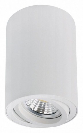 Накладной светильник Arte Lamp Sentry A1566PL-1WH в Дегтярске - degtyarsk.ok-mebel.com | фото