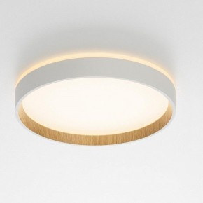 Накладной светильник Citilux Etalon CL750240 в Дегтярске - degtyarsk.ok-mebel.com | фото 12