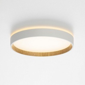 Накладной светильник Citilux Etalon CL750240 в Дегтярске - degtyarsk.ok-mebel.com | фото 4