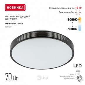 Накладной светильник Эра Классик SPB-6-70-RC Liburn в Дегтярске - degtyarsk.ok-mebel.com | фото 10