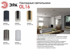 Накладной светильник Эра OL16 GU10 BK Б0049042 в Дегтярске - degtyarsk.ok-mebel.com | фото 3