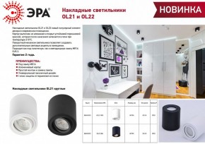 Накладной светильник Эра OL21 WH Б0054392 в Дегтярске - degtyarsk.ok-mebel.com | фото 2