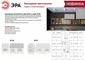 Накладной светильник Эра OL24-1 WH Б0054381 в Дегтярске - degtyarsk.ok-mebel.com | фото 2