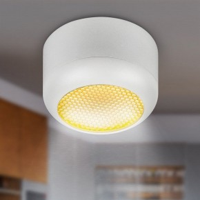 Накладной светильник Эра  OL56 WH в Дегтярске - degtyarsk.ok-mebel.com | фото 8