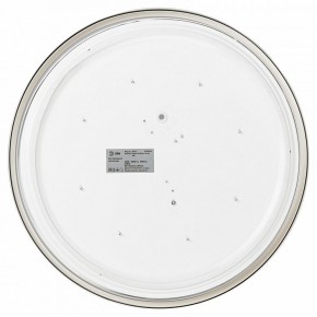 Накладной светильник Эра Relict Relict 38 SPB-6-40 4К WH в Дегтярске - degtyarsk.ok-mebel.com | фото 4