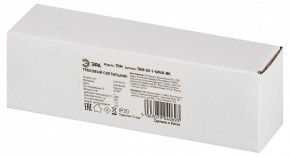 Накладной светильник Эра  TRM-S5-1-6W4K-BK в Дегтярске - degtyarsk.ok-mebel.com | фото 6