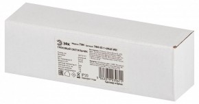 Накладной светильник Эра  TRM-S5-1-6W4K-WH в Дегтярске - degtyarsk.ok-mebel.com | фото 6
