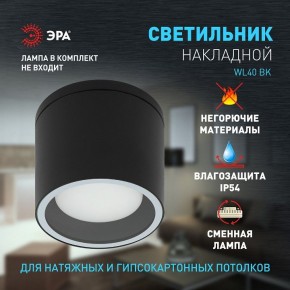 Накладной светильник Эра WL40 BK Б0054414 в Дегтярске - degtyarsk.ok-mebel.com | фото 2