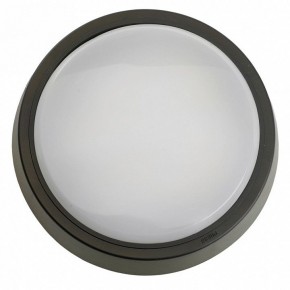 Накладной светильник Feron AL3020 51476 в Дегтярске - degtyarsk.ok-mebel.com | фото 4