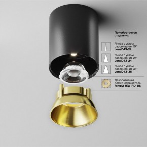 Накладной светильник Maytoni Alfa LED C064CL-12W4K-RD-B в Дегтярске - degtyarsk.ok-mebel.com | фото 3