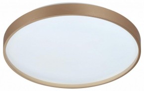 Накладной светильник Sonex Gaby 7783/DL в Дегтярске - degtyarsk.ok-mebel.com | фото 4