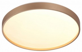 Накладной светильник Sonex Gaby 7783/DL в Дегтярске - degtyarsk.ok-mebel.com | фото 5