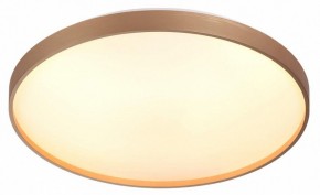 Накладной светильник Sonex Gaby 7783/EL в Дегтярске - degtyarsk.ok-mebel.com | фото 5