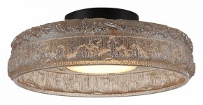Накладной светильник ST-Luce ANTIKE SL6143.422.01 в Дегтярске - degtyarsk.ok-mebel.com | фото 3