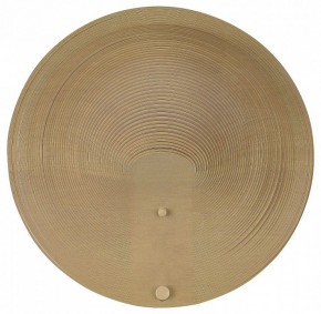 Накладной светильник ST-Luce Fossil SL6900.501.16 в Дегтярске - degtyarsk.ok-mebel.com | фото