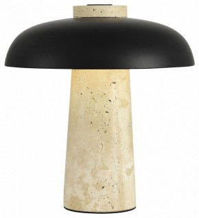 Настольная лампа декоративная ST-Luce Earthy SL1194.424.01 в Дегтярске - degtyarsk.ok-mebel.com | фото 3