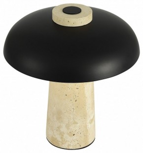 Настольная лампа декоративная ST-Luce Earthy SL1194.424.01 в Дегтярске - degtyarsk.ok-mebel.com | фото 5