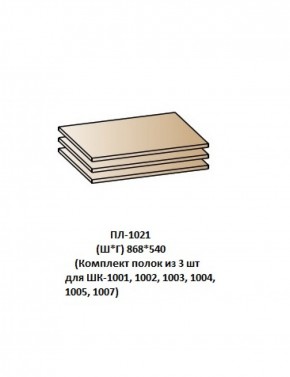 ПЛ-1021 (Комплект полок из 3 шт для ШК-1001, 1002, 1003, 1004, 1005, 1007) в Дегтярске - degtyarsk.ok-mebel.com | фото