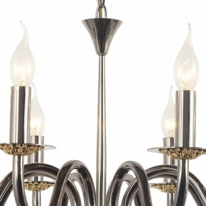 Подвесная люстра Arti Lampadari Pontone Pontone E 1.1.8 PB в Дегтярске - degtyarsk.ok-mebel.com | фото 3
