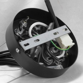 Подвесная люстра Lussole Seneca GRLSP-8177 в Дегтярске - degtyarsk.ok-mebel.com | фото 10