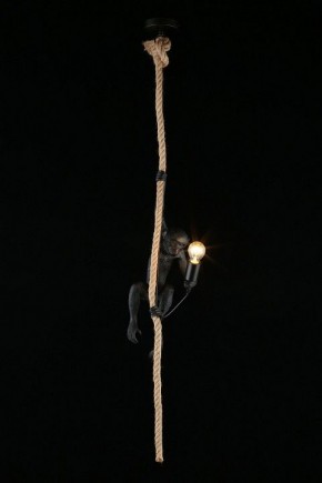 Подвесной светильник Aployt Magali APL.309.16.01 в Дегтярске - degtyarsk.ok-mebel.com | фото 3