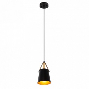 Подвесной светильник Arte Lamp Thomas A7032SP-1BK в Дегтярске - degtyarsk.ok-mebel.com | фото 3